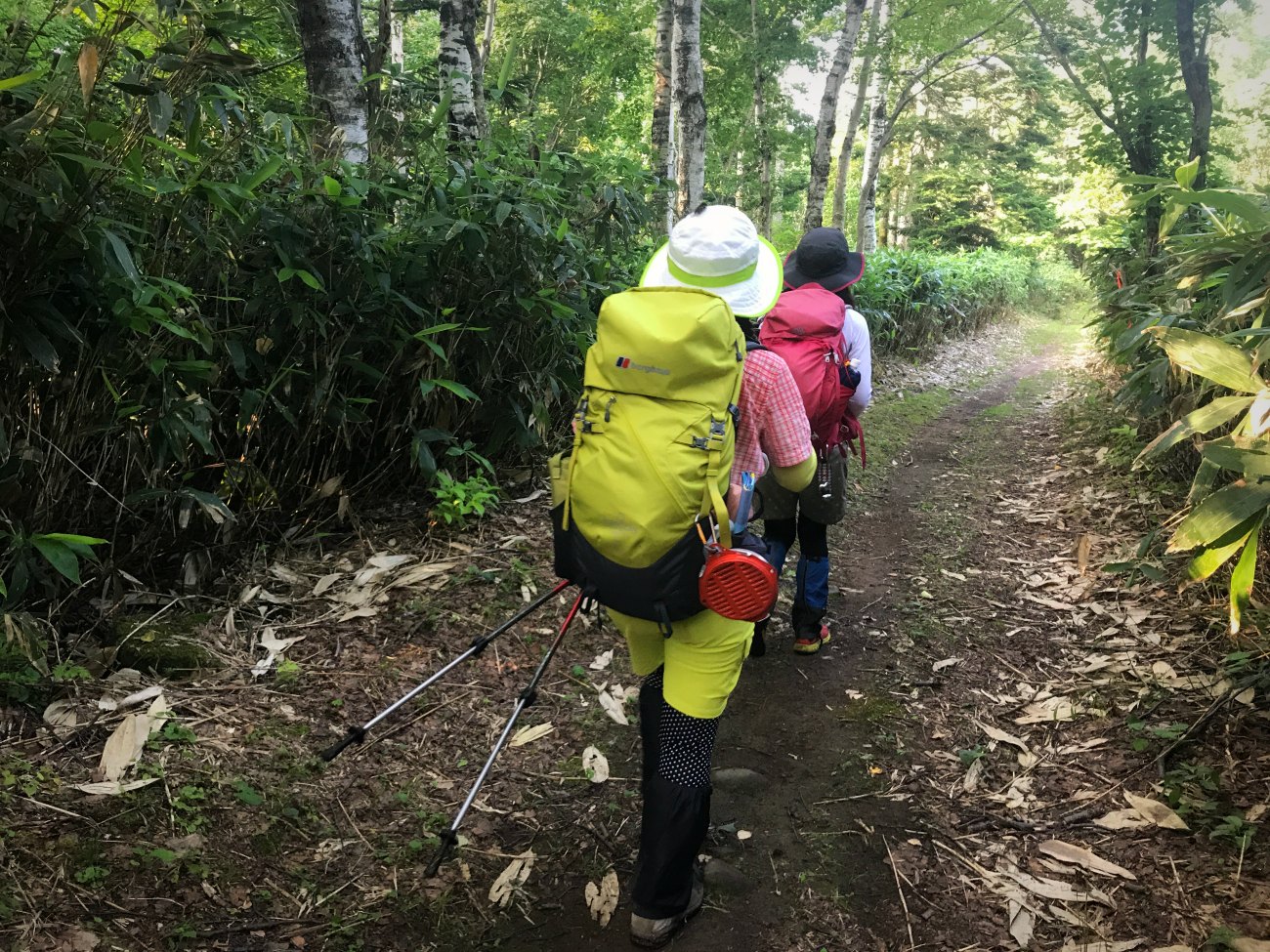 ☆2017.8.7 小樽天狗山→於古発山→遠藤山→塩谷丸山_e0105954_1430543.jpg