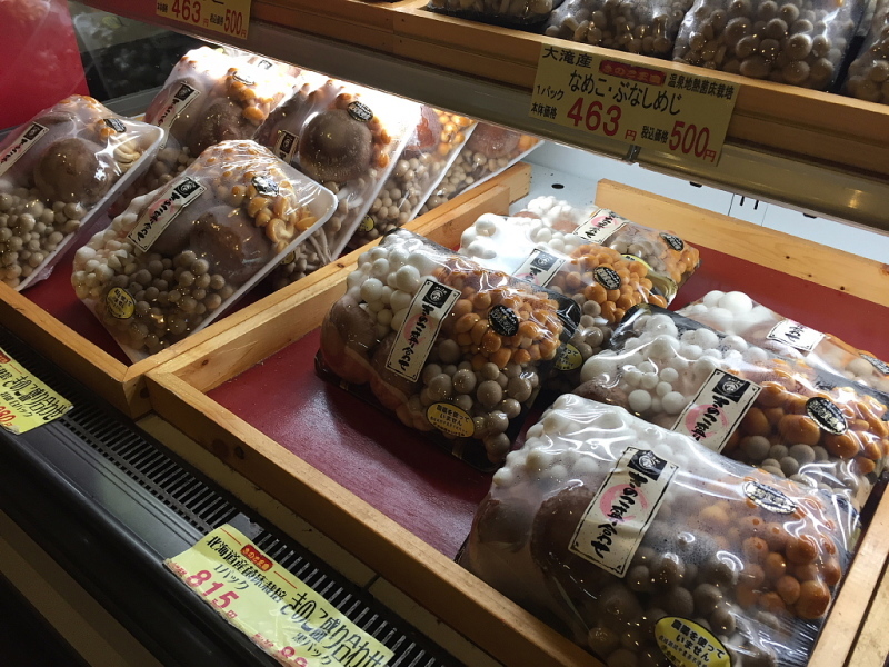 【怪しすぎる！！】北海道大滝村「きのこ王国」〜ホンモノのB級感！_b0008655_17215515.jpg