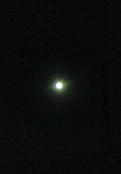 満月_b0328361_21482495.jpg