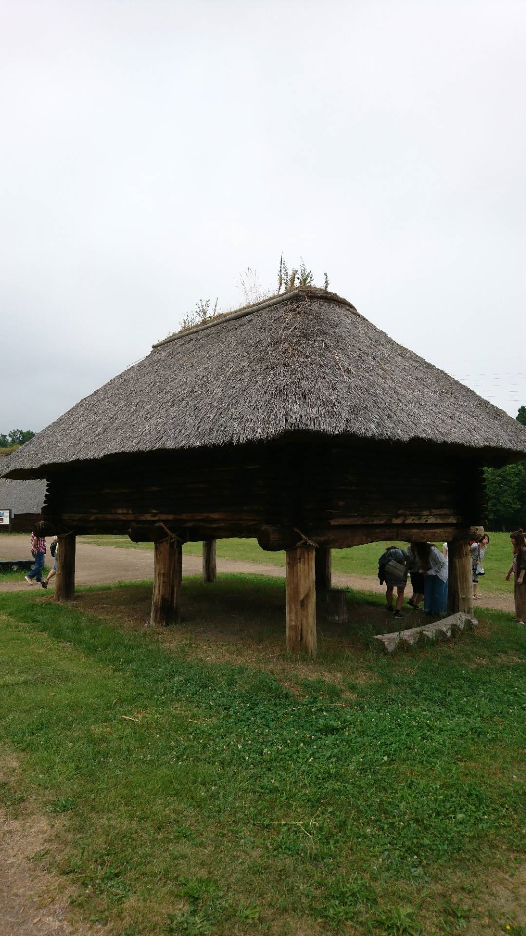 夏輝津軽 参・奥入瀬渓流、三内丸山遺跡、青森県立美術館_c0002171_22262726.jpg