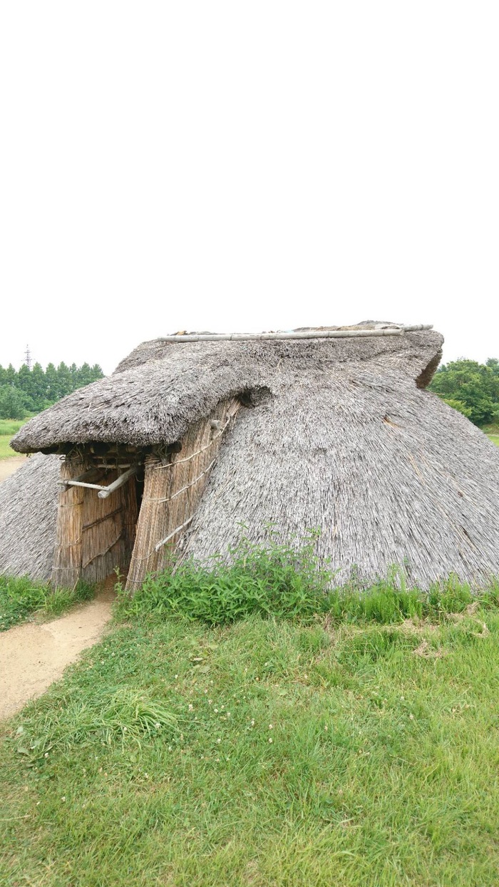 夏輝津軽 参・奥入瀬渓流、三内丸山遺跡、青森県立美術館_c0002171_2230491.jpg