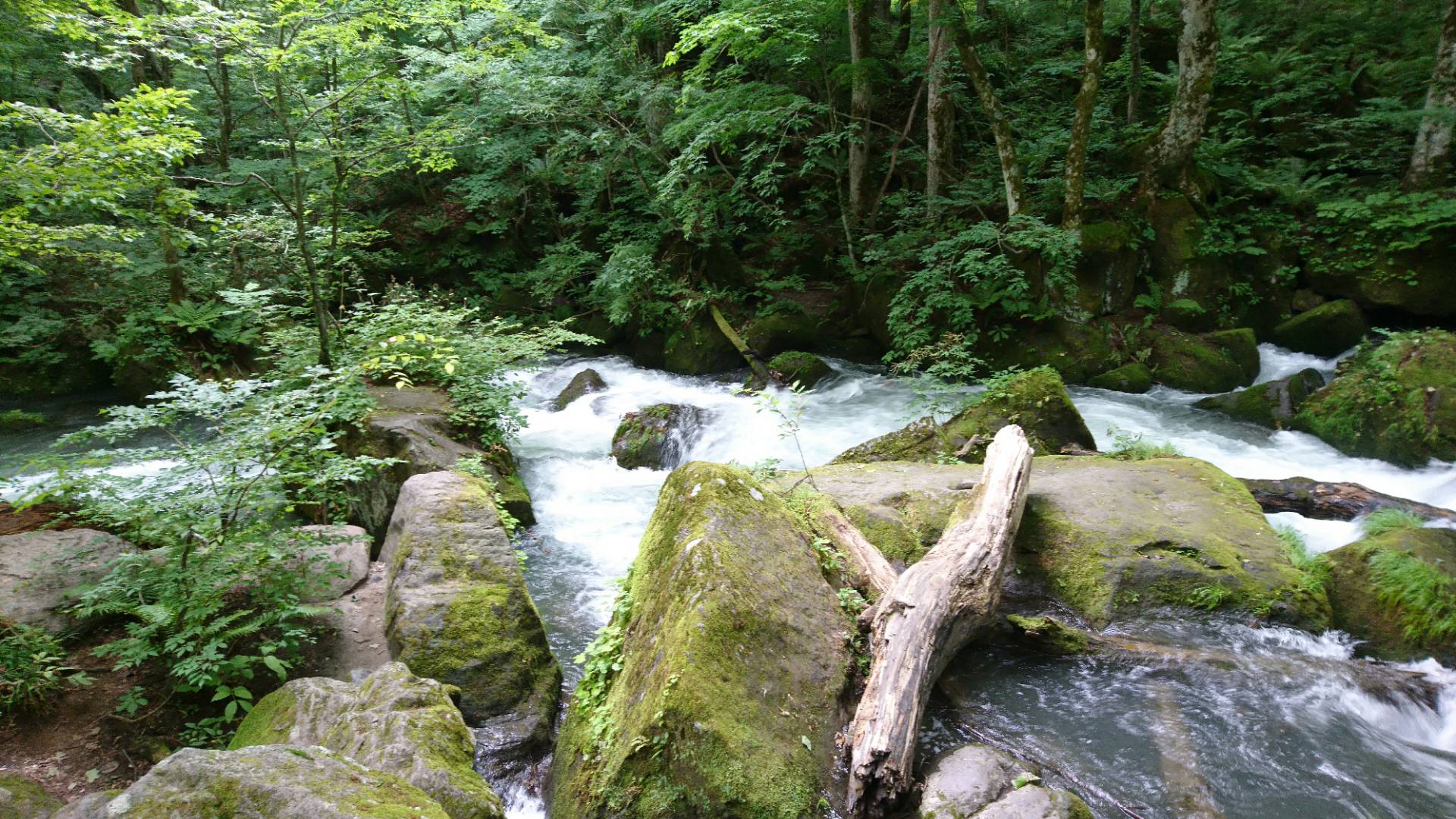 夏輝津軽 参・奥入瀬渓流、三内丸山遺跡、青森県立美術館_c0002171_2273872.jpg