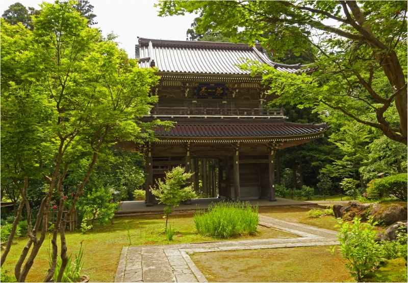 林泉寺 _a0079473_152351.jpg