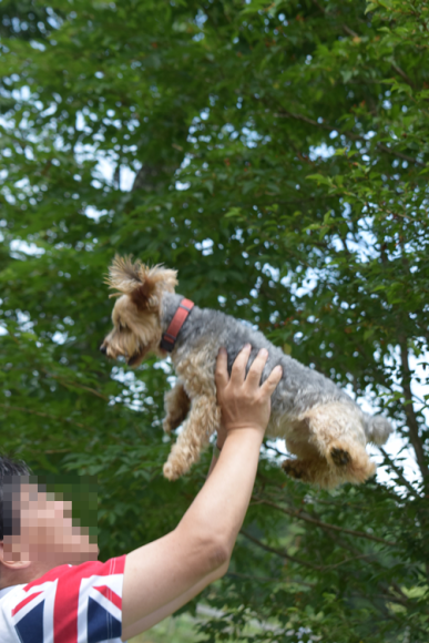 b0242873_00351671.png