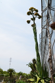 c0229483_10174298.jpg