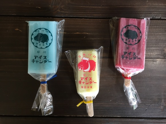 コカバがやってきた_e0221583_13244225.jpg