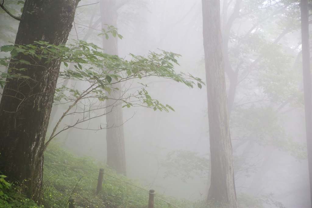 e0305388_17112256.jpg