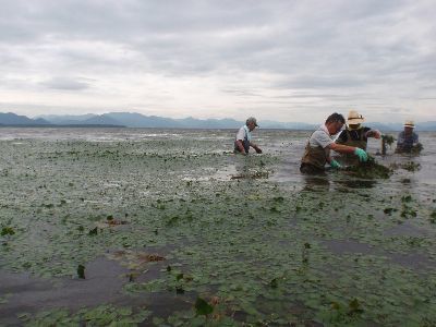 湖は花盛り?_a0096989_21140697.jpg