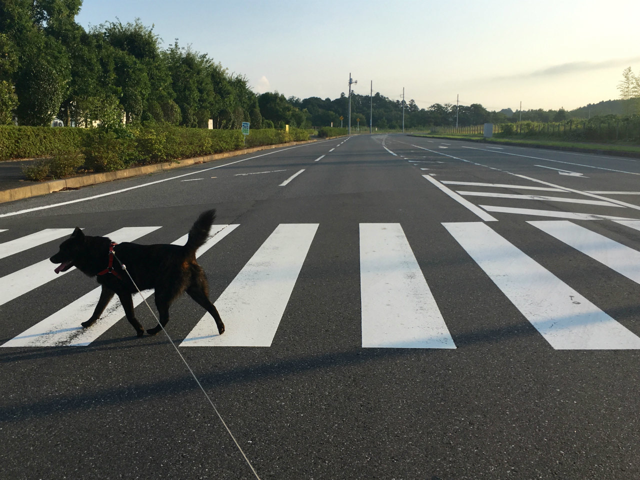 ABBEY ROAD ?  _a0374090_22421581.jpg