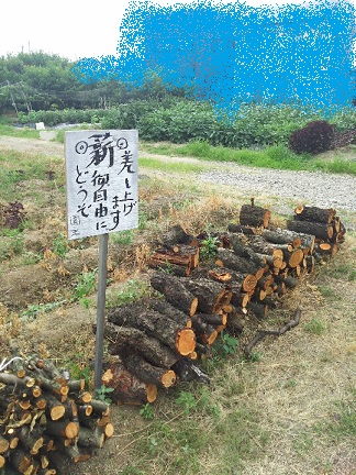 夏のお話。_a0045293_901978.jpg