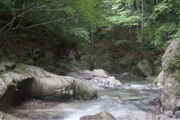 c0177497_08535623.jpg