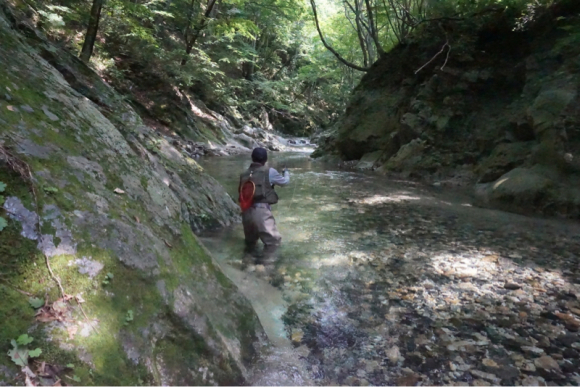 c0177497_08535712.jpg