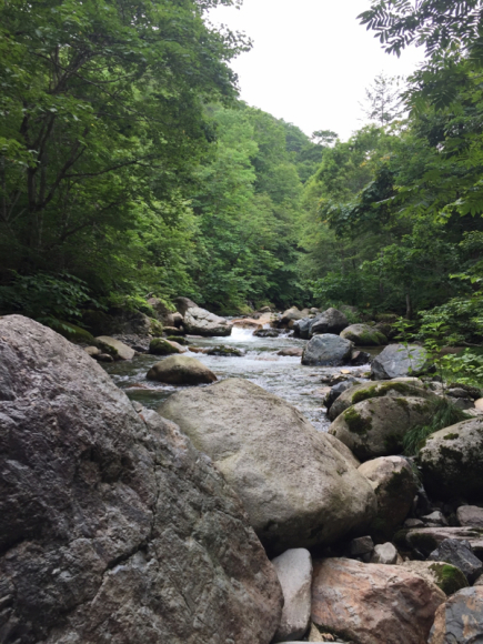 c0177497_09234183.jpg