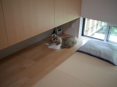 c0090198_186273.jpg