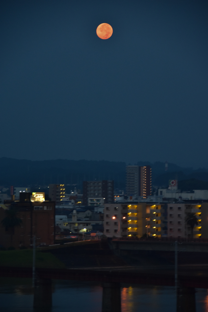 c0049299_21160778.jpg