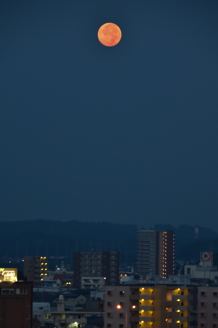 c0049299_21165873.jpg