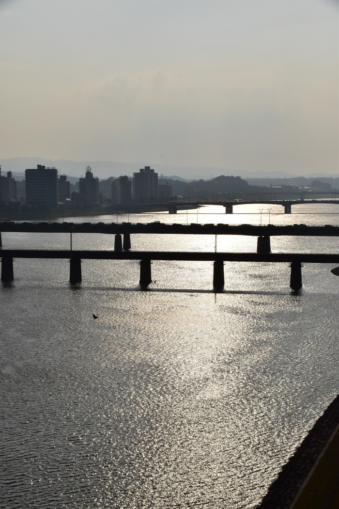 c0049299_21423326.jpg