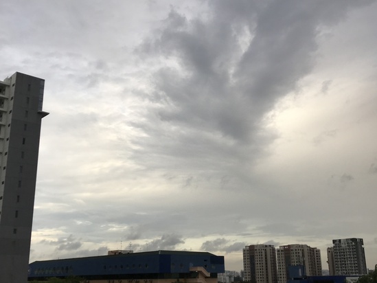 c0212604_952831.jpg