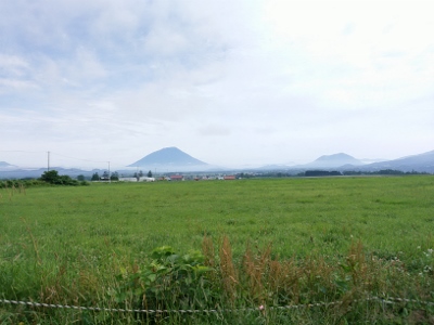 b0040606_13491471.jpg