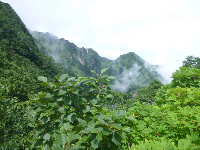 d0170615_13154025.jpg
