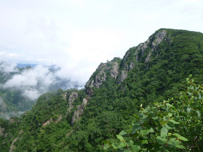 d0170615_13154952.jpg