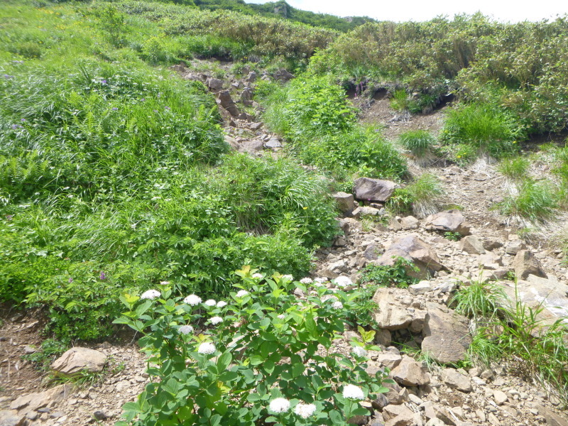 d0170615_13164075.jpg
