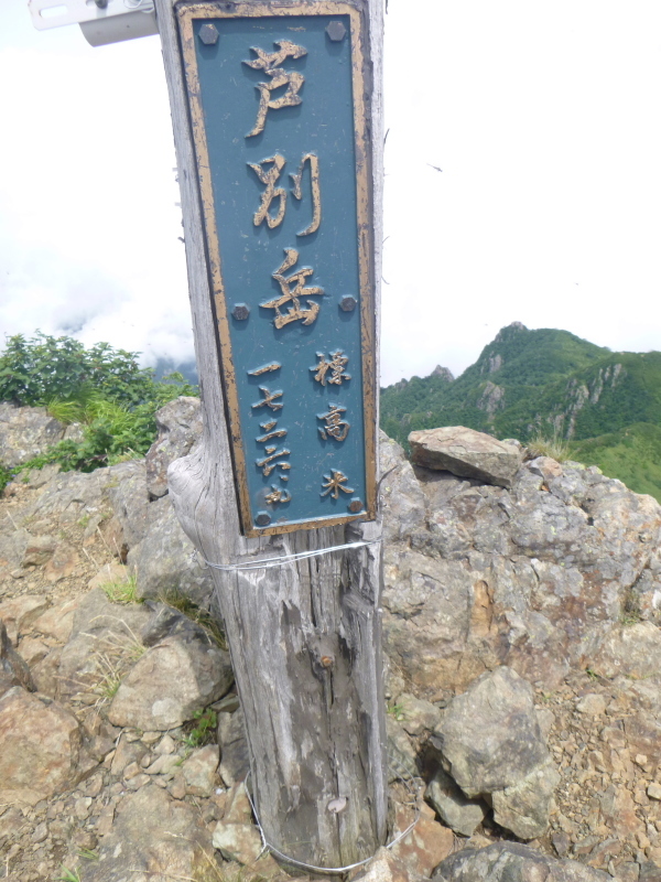 d0170615_13172810.jpg