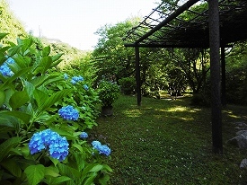 古湯温泉 冨士ビラ山華の正　佐賀の温泉_d0086228_20565150.jpg