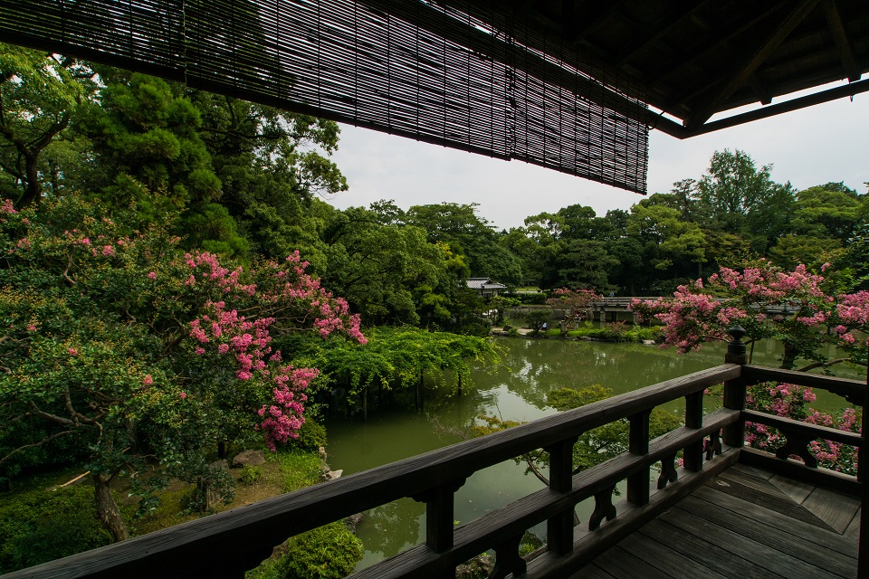 京都御所～拾翠亭の百日紅_e0363038_9273766.jpg