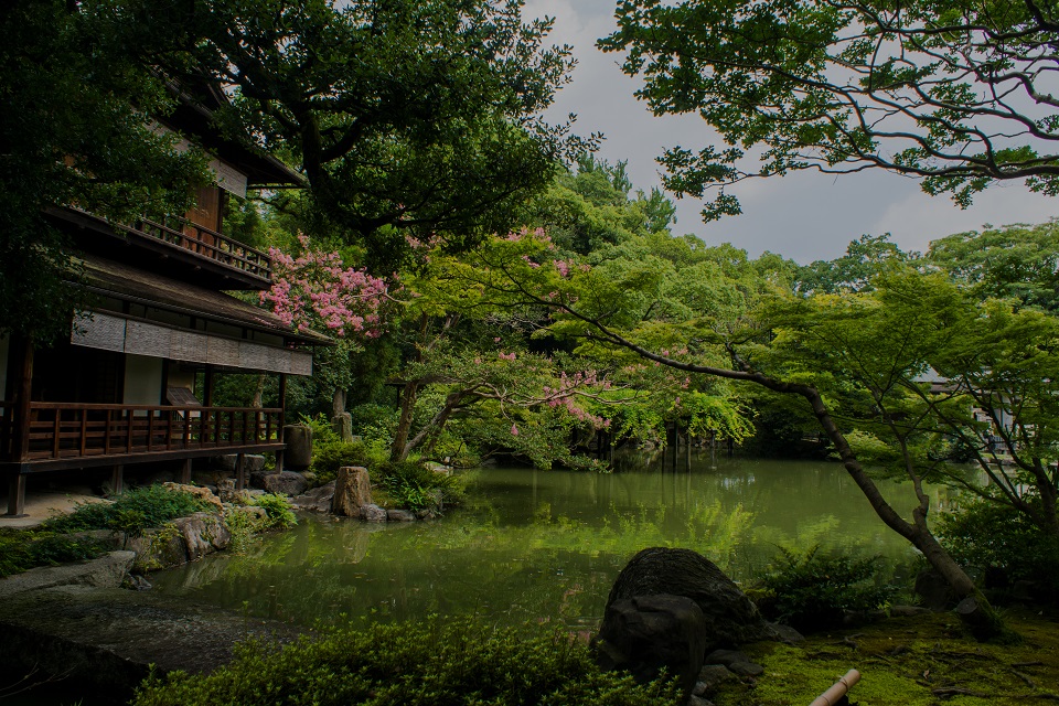 京都御所～拾翠亭の百日紅_e0363038_9315512.jpg