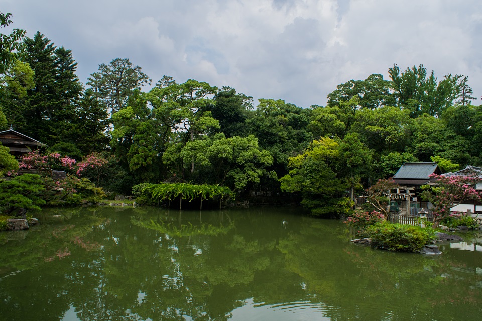 京都御所～拾翠亭の百日紅_e0363038_933359.jpg