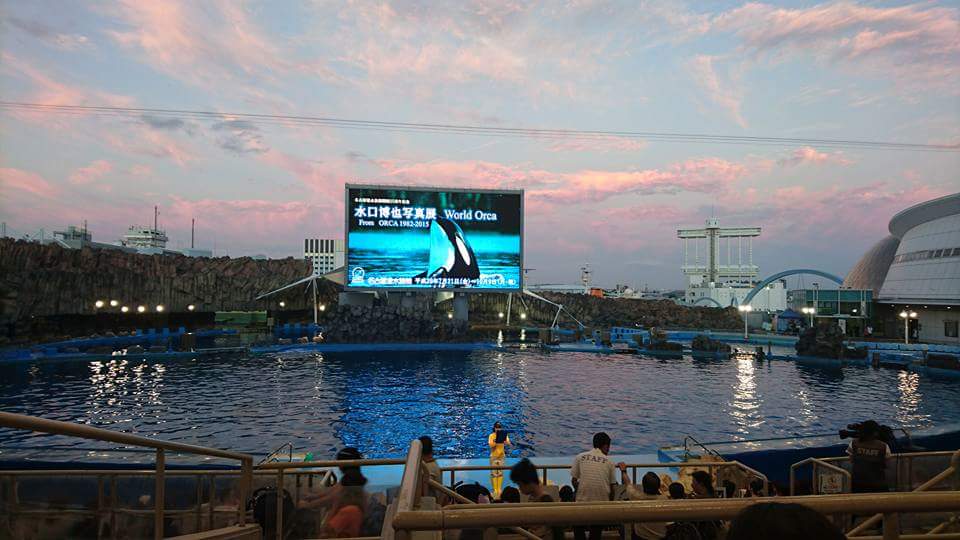 名古屋港水族館へ_f0373339_14414844.jpg