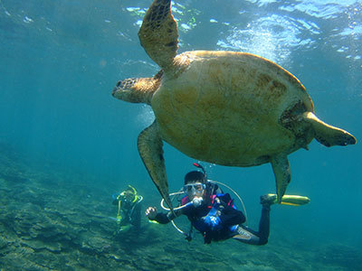b0189640_03301065.jpg