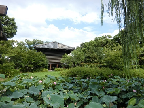 b0120541_00150759.jpg