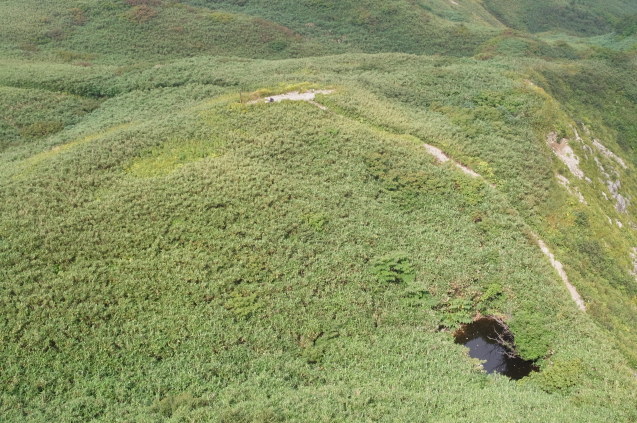 　北アルプス登山の旅　19　雨飾山_a0288155_16153020.jpg