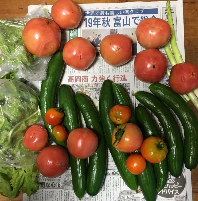 雨、雨、雨。チンタラ台風が追加後風が吹く。オクラ風の通り道、やはり倒れた。スポーツクラブ雨激しいのかガラガラ。2回目ドライトマトをエアコン有る室へ移住、カビが怖い。_e0082956_05263357.jpg