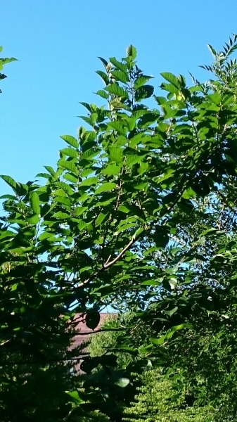 d0298558_08501616.jpg