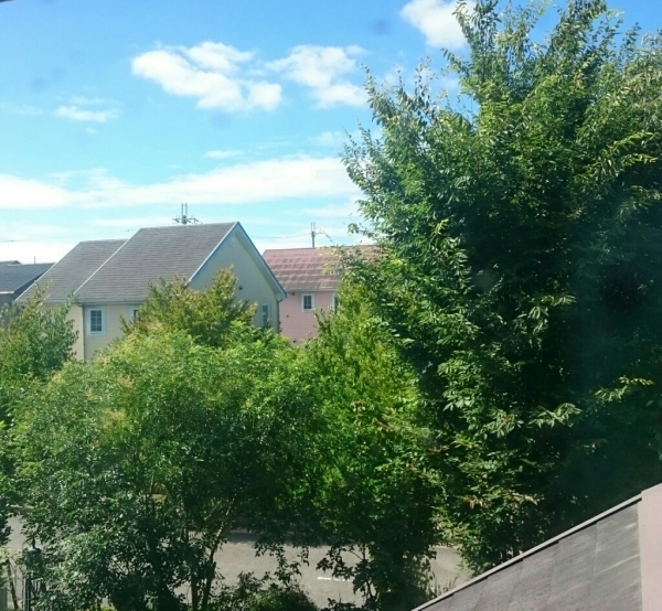 d0298558_08501982.jpg