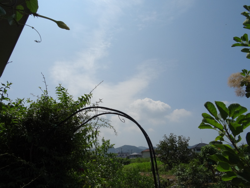 c0108460_16470792.jpg