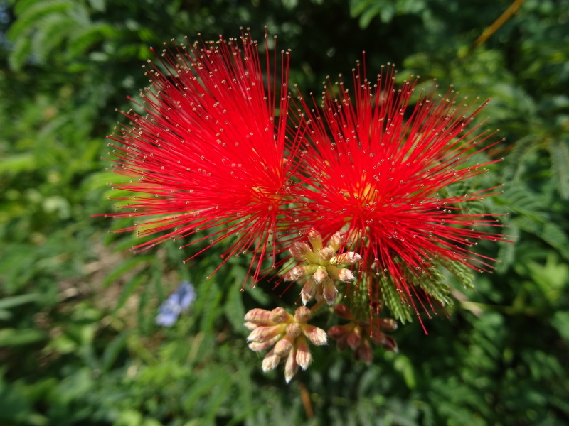 c0108460_16483410.jpg