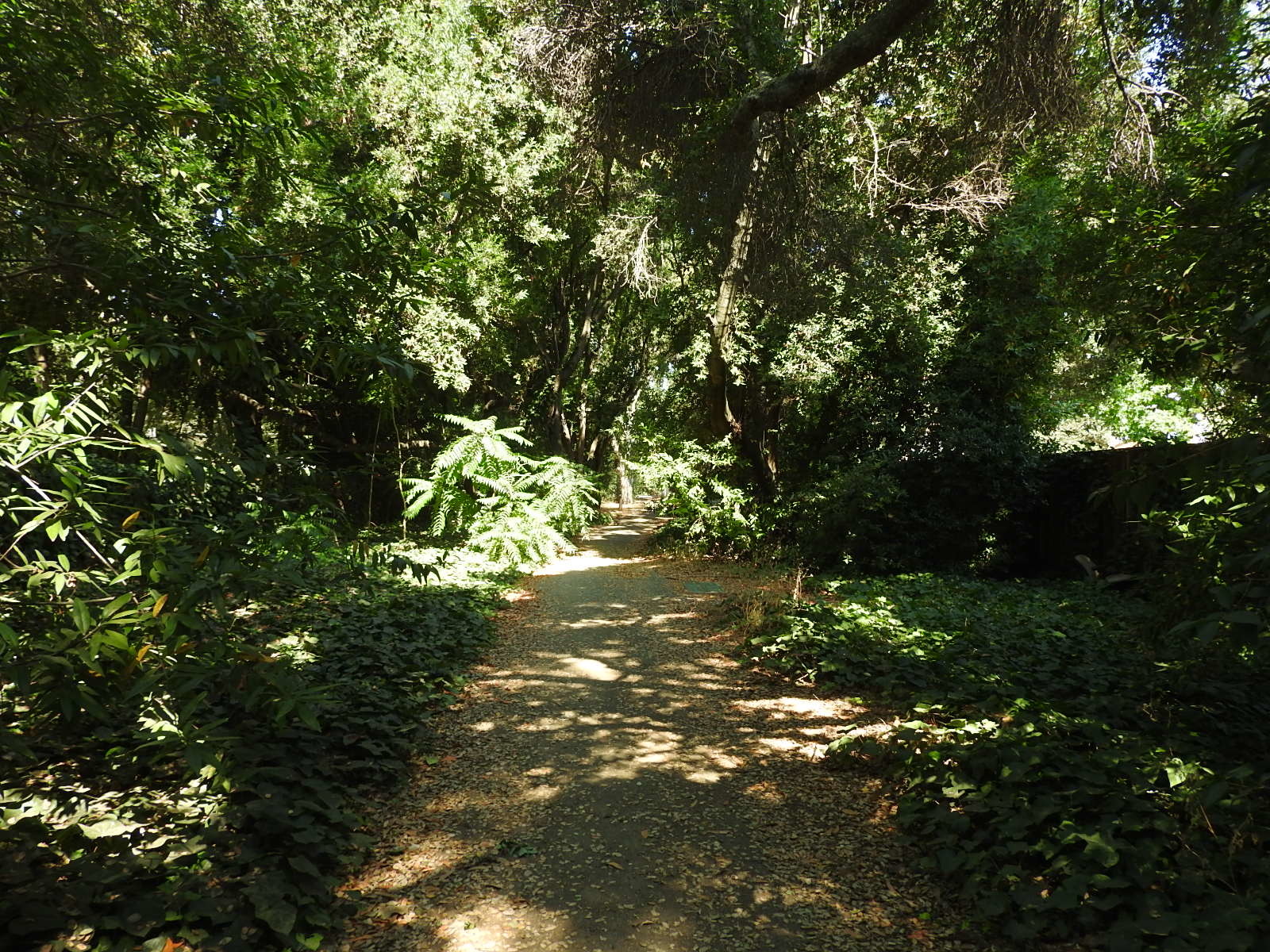 c0115366_19102188.jpg