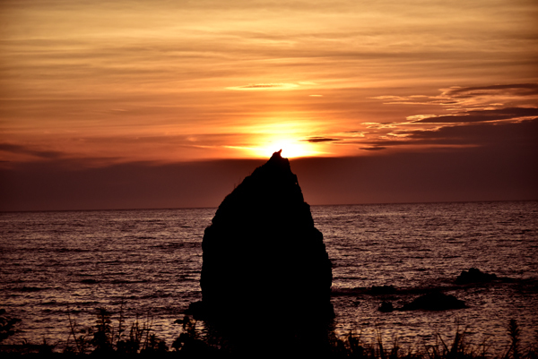 e0064375_17212300.jpg