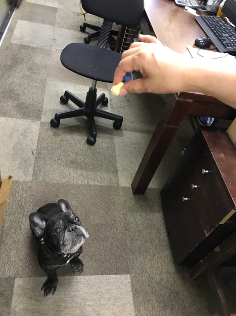 f0351179_11334822.jpg