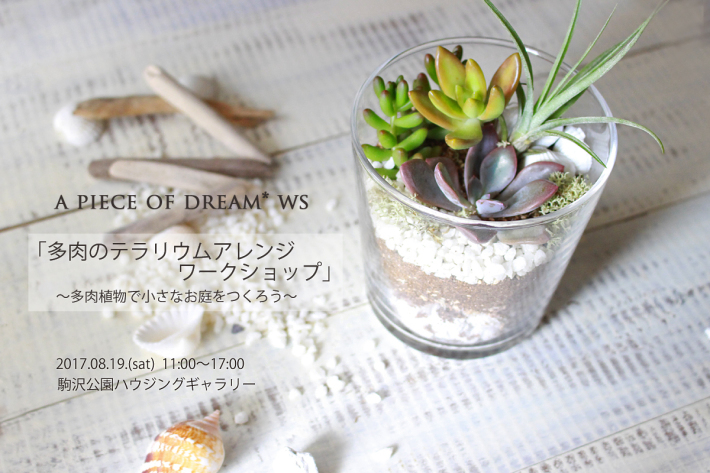 8 19土 駒沢にて 多肉のテラリウム 夏ばーじょん ワークショップをします A Piece Of Dream 植物とdiyと