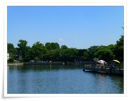 水元公園の「ハス」_d0174983_19594161.jpg