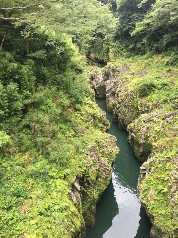 a0159690_11364211.jpg