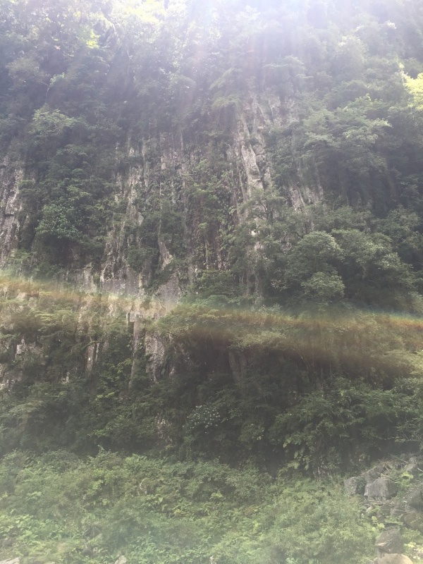 a0159690_11381621.jpg