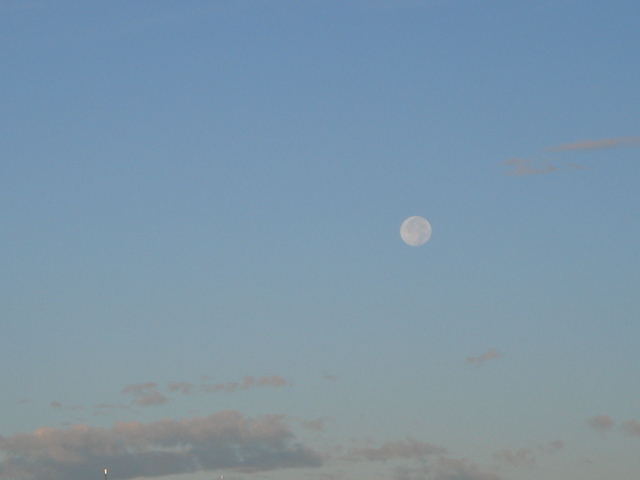 d0201102_20392682.jpg