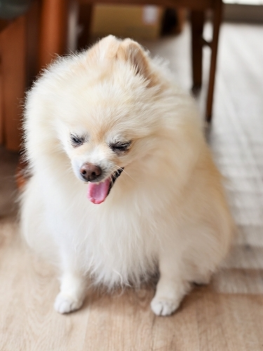 本質なんて変わらない_d0360206_00093998.jpg