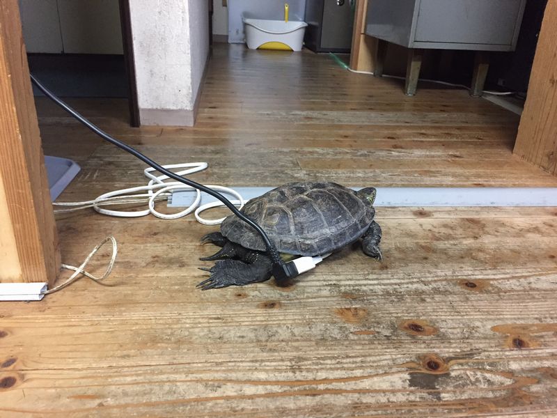 重たいお腹。_b0131012_11512550.jpg